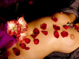 aktofotos_shooting_augsburg2