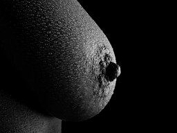 Fotograf_Augsburg_Brueste_14