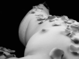 Fotograf_Augsburg_Brueste_36