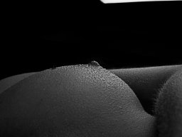 Fotograf_Augsburg_Brueste_74