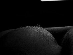 Fotograf_Augsburg_Brueste_75