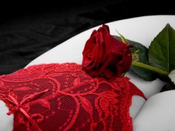 Fotograf_Augsburg_Down_5